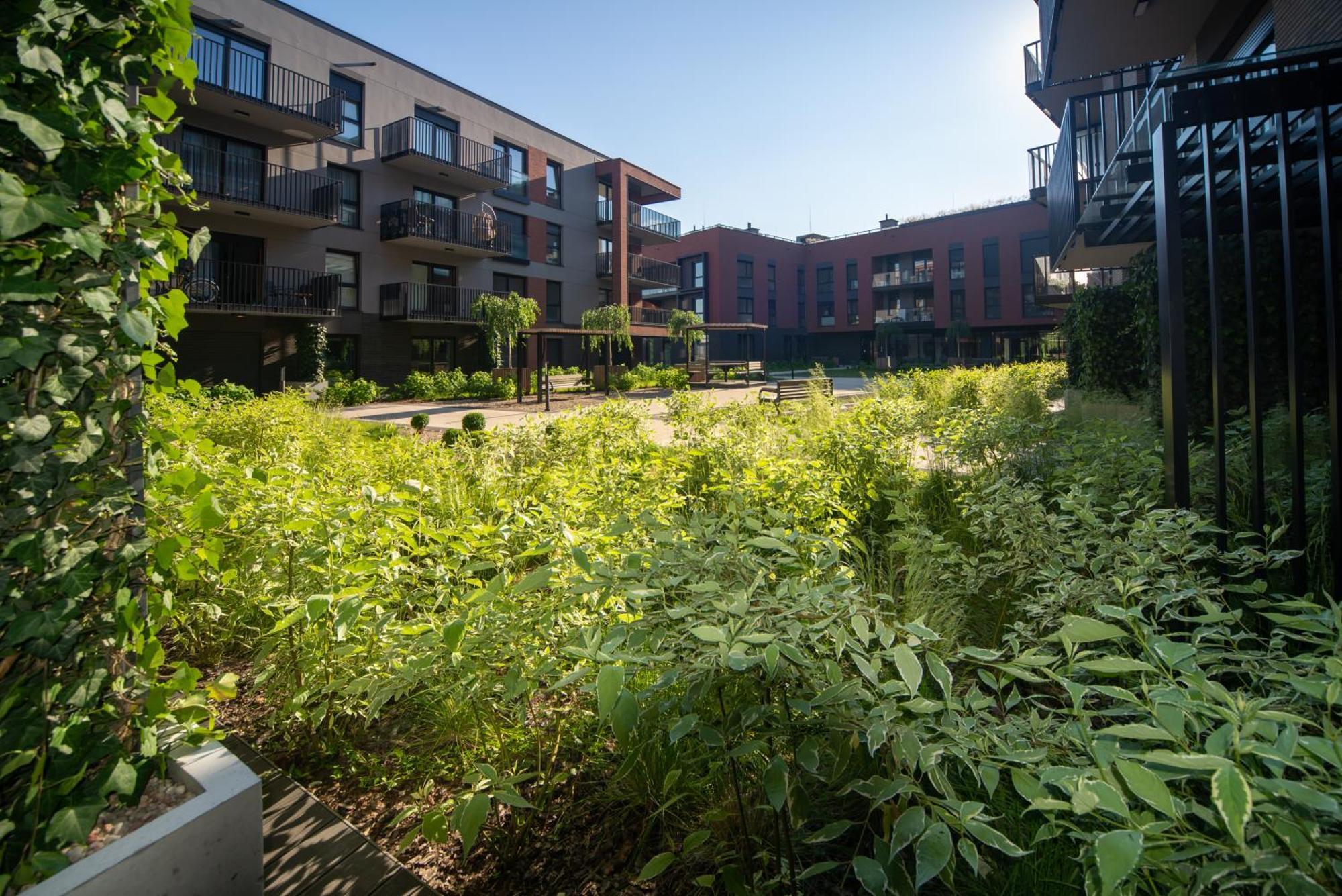 Maya'S Flats & Resorts 15 - Nadmotlawie Gdańsk Kültér fotó